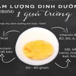Sức Khỏe